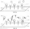 Fig. 03 - METHODS FOR DETECTION AND CHARACTERIZATION OF ANTI-VIRAL VECTOR ANTIBODIES