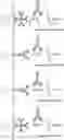 Fig. 01 - TREATMENT STRATIFICATION FOR AN EXACERBATION OF INFLAMMATION