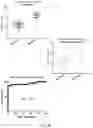 Fig. 23 - TREATMENT STRATIFICATION FOR AN EXACERBATION OF INFLAMMATION