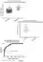Fig. 25 - TREATMENT STRATIFICATION FOR AN EXACERBATION OF INFLAMMATION