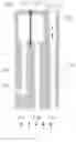 Fig. 01 - Optical fiber flow velocity measuring apparatus and method integrating high and low ranges