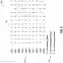 Fig. 05 - Transmission of signals for ranging, timing, and data transfer