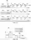 Fig. 02 - Non-uniform multi-dimensional data access for radar data processing