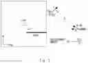 Fig. 08 - Ship behavior analyzing device, ship behavior analyzing method, and non-transitory computer-readable medium