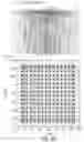 Fig. 10 - Prismatoid light guide