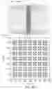 Fig. 11 - Prismatoid light guide