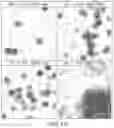 Fig. 12 - Prismatoid light guide