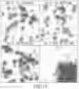 Fig. 13 - Prismatoid light guide