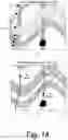 Fig. 15 - Ultrasonic pulse-echo and caliper formation characterization