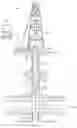 Fig. 03 - Look ahead information for a geo-steering system
