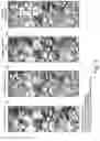 Fig. 05 - METHOD OF DETECTION OF HYDROCARBON HORIZONTAL SLIPPAGE PASSAGES