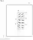 Fig. 07 - Display device with light guide plate having outgoing structure regions