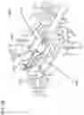 Fig. 70 - Cable fixation assemblies for telecommunications enclosures