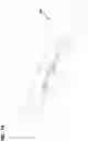Fig. 15 - Telecommunications distribution elements