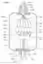 Fig. 01 - Cable termination assembly with disengagement prevention structures