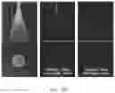 Fig. 06 - Microlens array-based ultrathin microscope