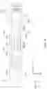 Fig. 10 - Optical element driving mechanism