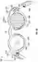 Fig. 07 - Antenna implementation embedded in optical waveguide module