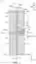 Fig. 07 - Electronic device comprising a patterned electrode having at least one sub-portion with a first included angle between one of a plurality of branch portions and a first absorption axis