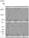 Fig. 02 - Liquid crystal display device