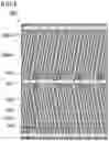 Fig. 08 - Liquid crystal display device