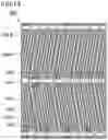 Fig. 13 - Liquid crystal display device