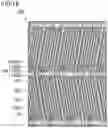 Fig. 16 - Liquid crystal display device