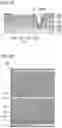 Fig. 19 - Liquid crystal display device
