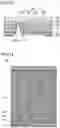 Fig. 22 - Liquid crystal display device