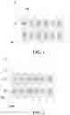 Fig. 02 - Display panel including grayscale combined pixel