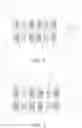 Fig. 06 - Display panel including grayscale combined pixel