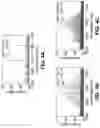 Fig. 06 - MONOLITHICALLY INTEGRATED LASER-NONLINEAR PHOTONIC DEVICES