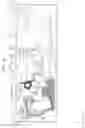 Fig. 15 - Projection apparatus