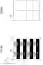 Fig. 09 - Systems and methods for arranging adjacent pages based on print data associated with the pages