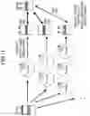 Fig. 14 - Information processing device, program, process treatment executing device, and information processing system