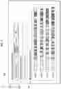 Fig. 06 - PREDICTION SYSTEM
