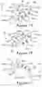 Fig. 08 - VALVE ASSEMBLY AND FLUID ARRANGEMENT FOR CONTINUOUS DELIVERY OF VOLUMETRICALLY PROPORTIONED FLUIDS