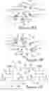 Fig. 11 - VALVE ASSEMBLY AND FLUID ARRANGEMENT FOR CONTINUOUS DELIVERY OF VOLUMETRICALLY PROPORTIONED FLUIDS