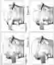 Fig. 05 - Enhancing the performance of near-to-eye vision systems