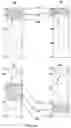 Fig. 14 - System and method for analysis and visualization of incident data
