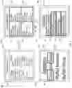 Fig. 03 - Efficiently augmenting images with related content