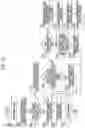 Fig. 11 - Storage device and method of operating the same