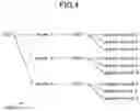 Fig. 05 - Multi-master data replication in a distributed multi-tenant system