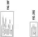 Fig. 35 - Managing data objects for graph-based data structures