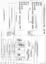 Fig. 45 - Determination of meaning of a phrase with ambiguity resolution