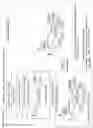 Fig. 49 - Determination of meaning of a phrase with ambiguity resolution