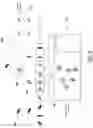 Fig. 08 - 3D clustering navigation