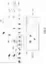 Fig. 09 - 3D clustering navigation