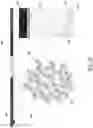 Fig. 10 - 3D clustering navigation