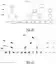 Fig. 17 - 3D clustering navigation